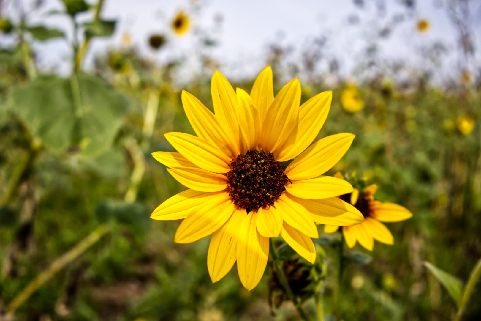 5350 Upper Denton Road Weatherford TX 76085