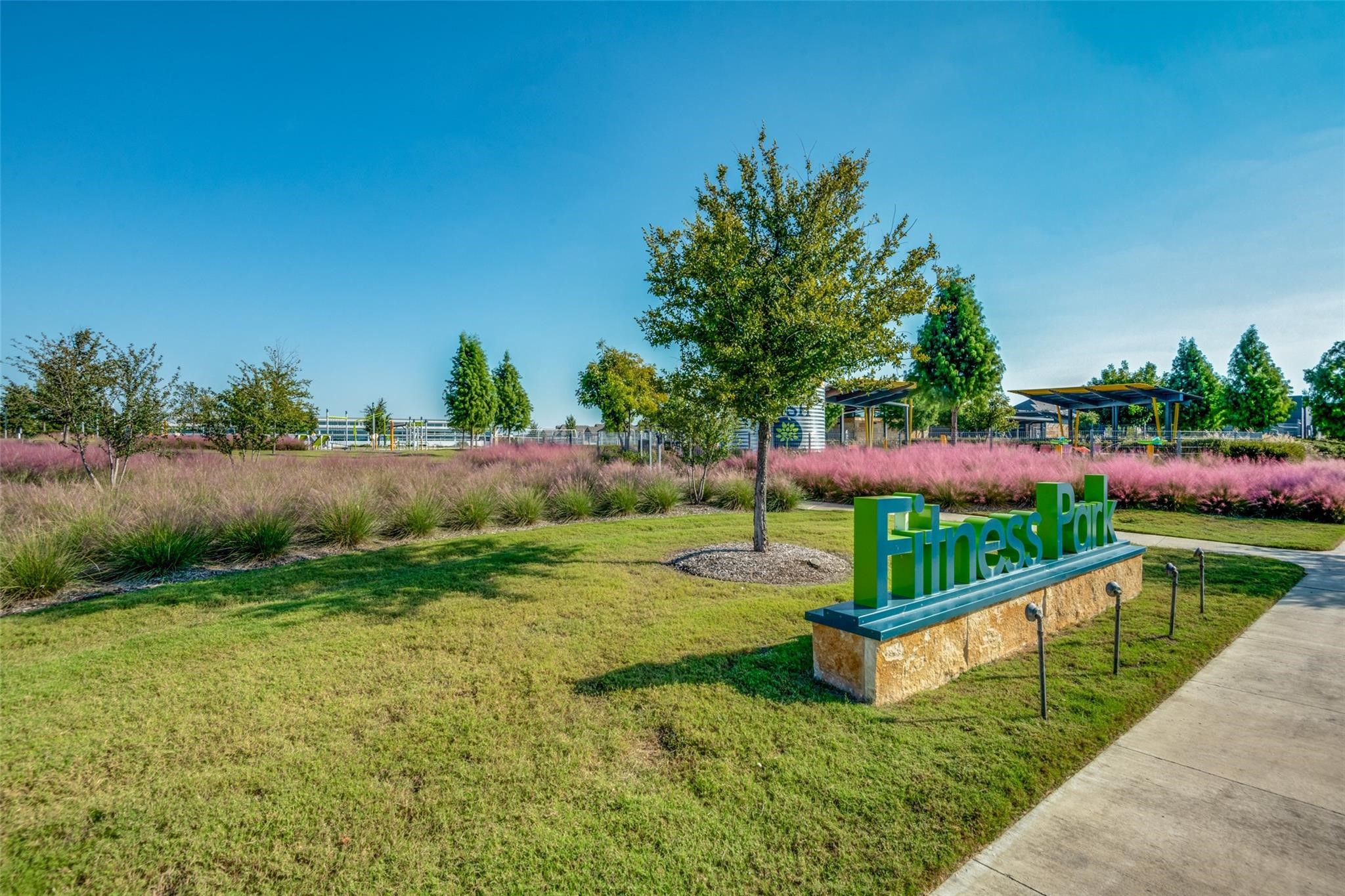7332 Elm Grove Lane Little Elm TX 76227