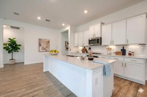 1729 Ordonez Drive Little Elm TX 75068