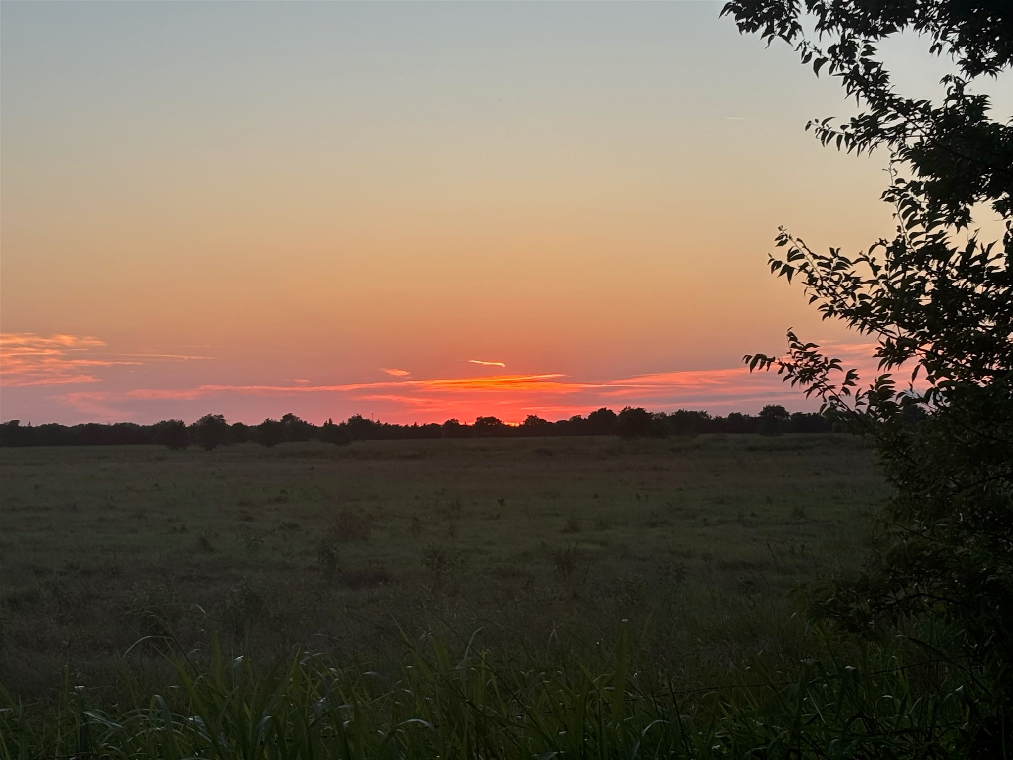 7478 County Road 1020 Wolfe City TX 75496