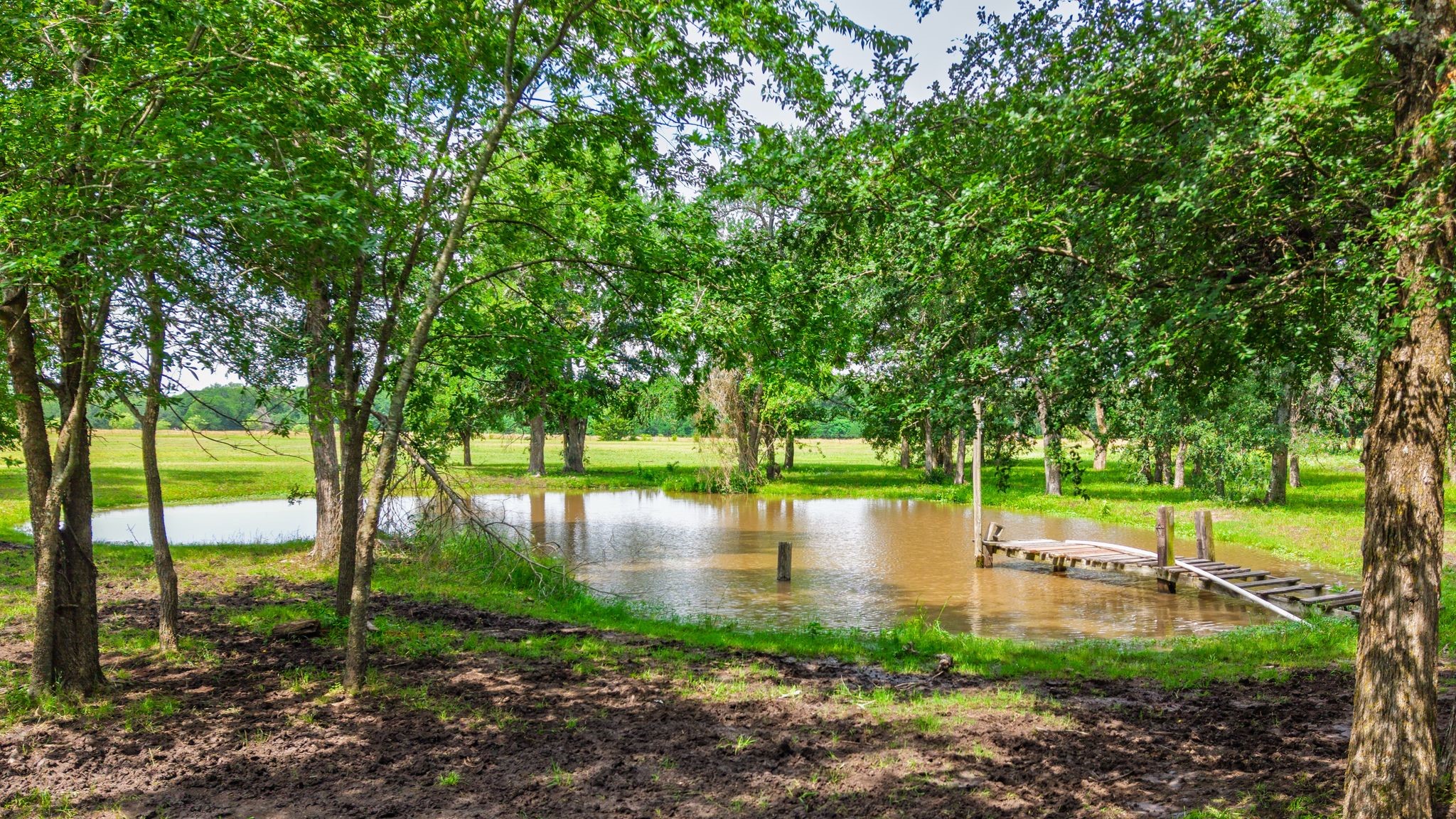 7478 County Road 1020 Wolfe City TX 75496