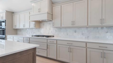 236 Rosemallow Lane Waxahachie TX 75165