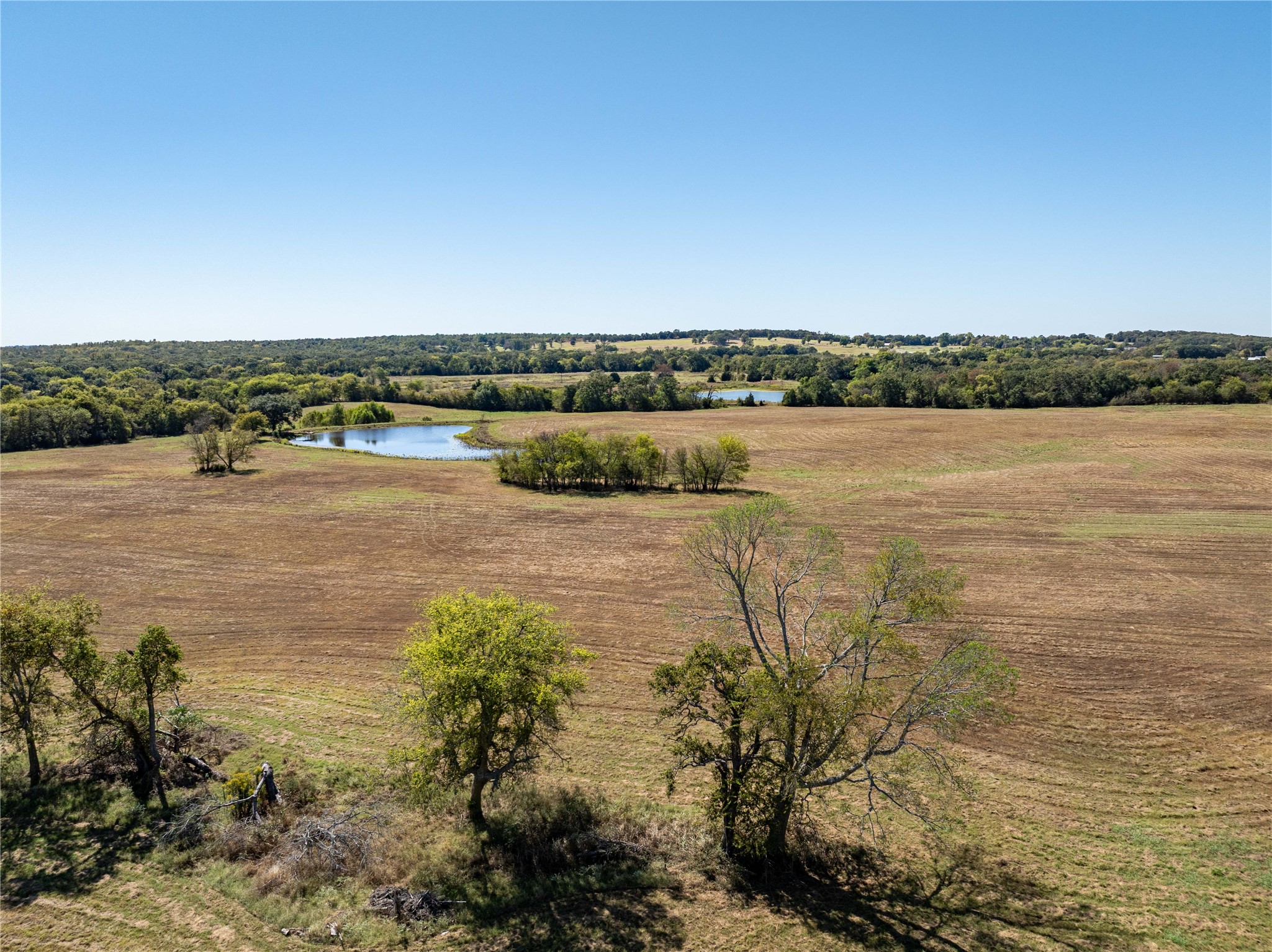 1210 Vz County Road 2316 Canton TX 75103