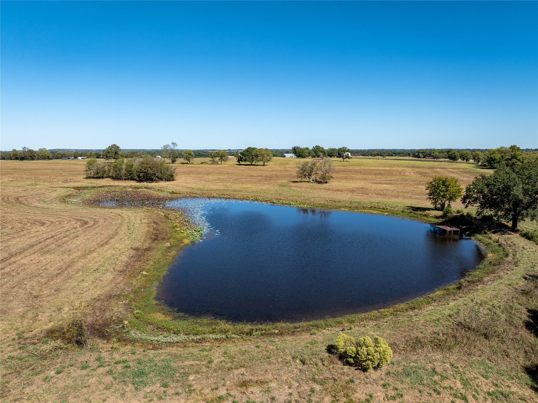 1210 Vz County Road 2316 Canton TX 75103