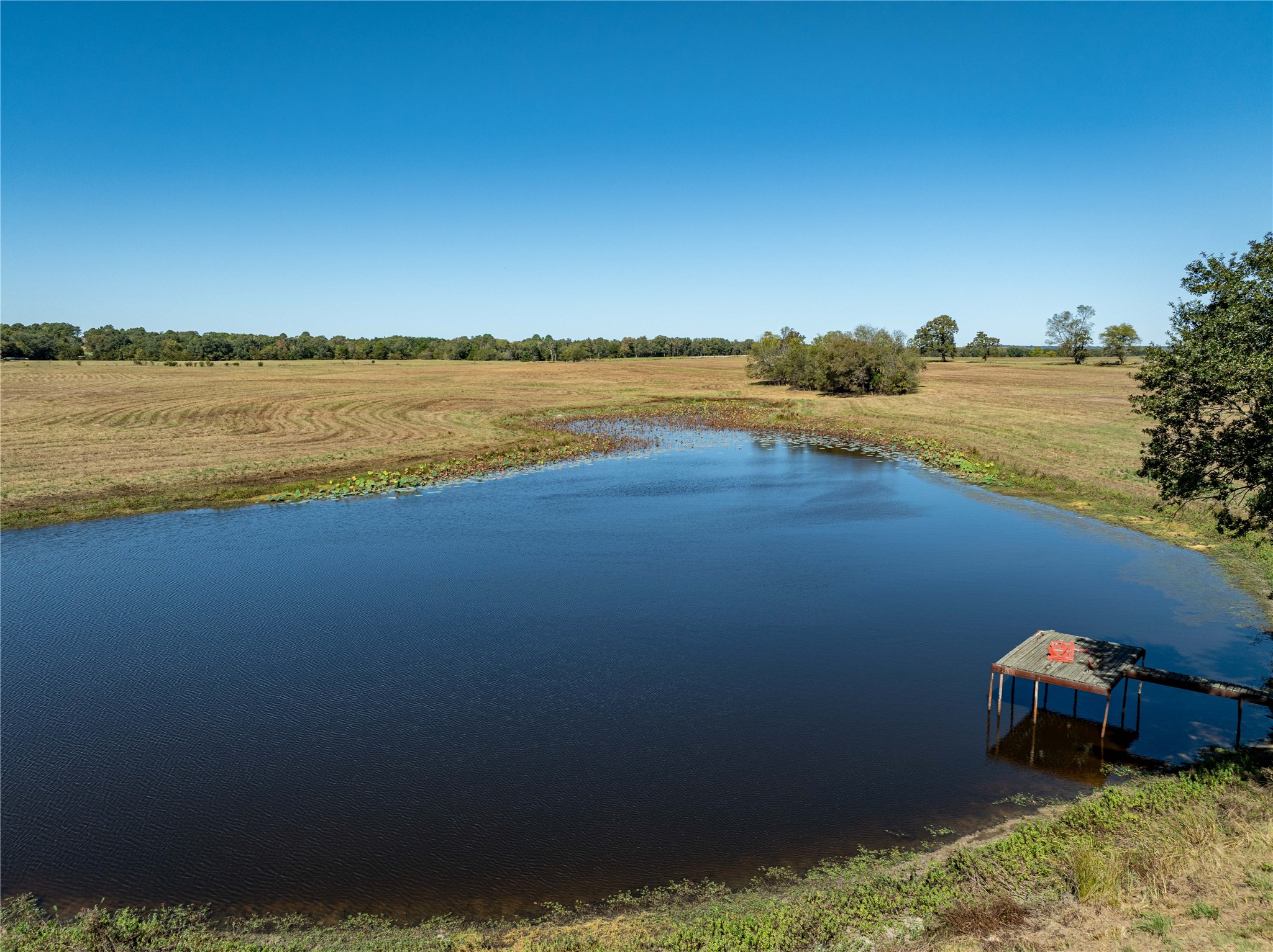 1210 Vz County Road 2316 Canton TX 75103