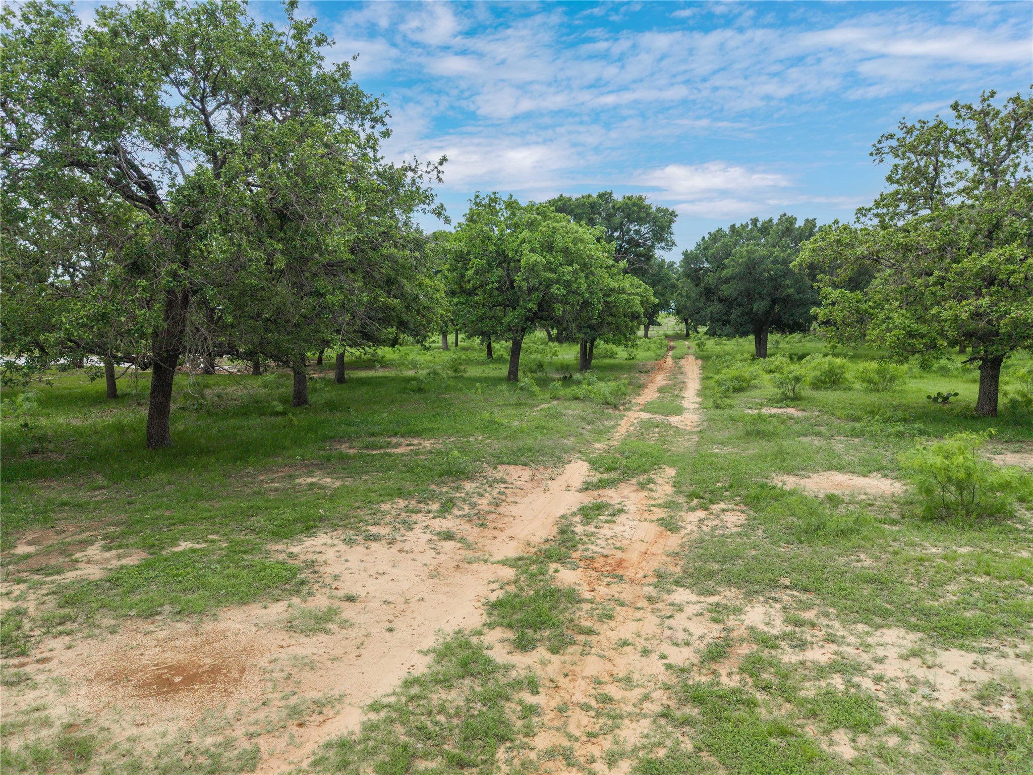 4300 County Road 372 Early TX 76802