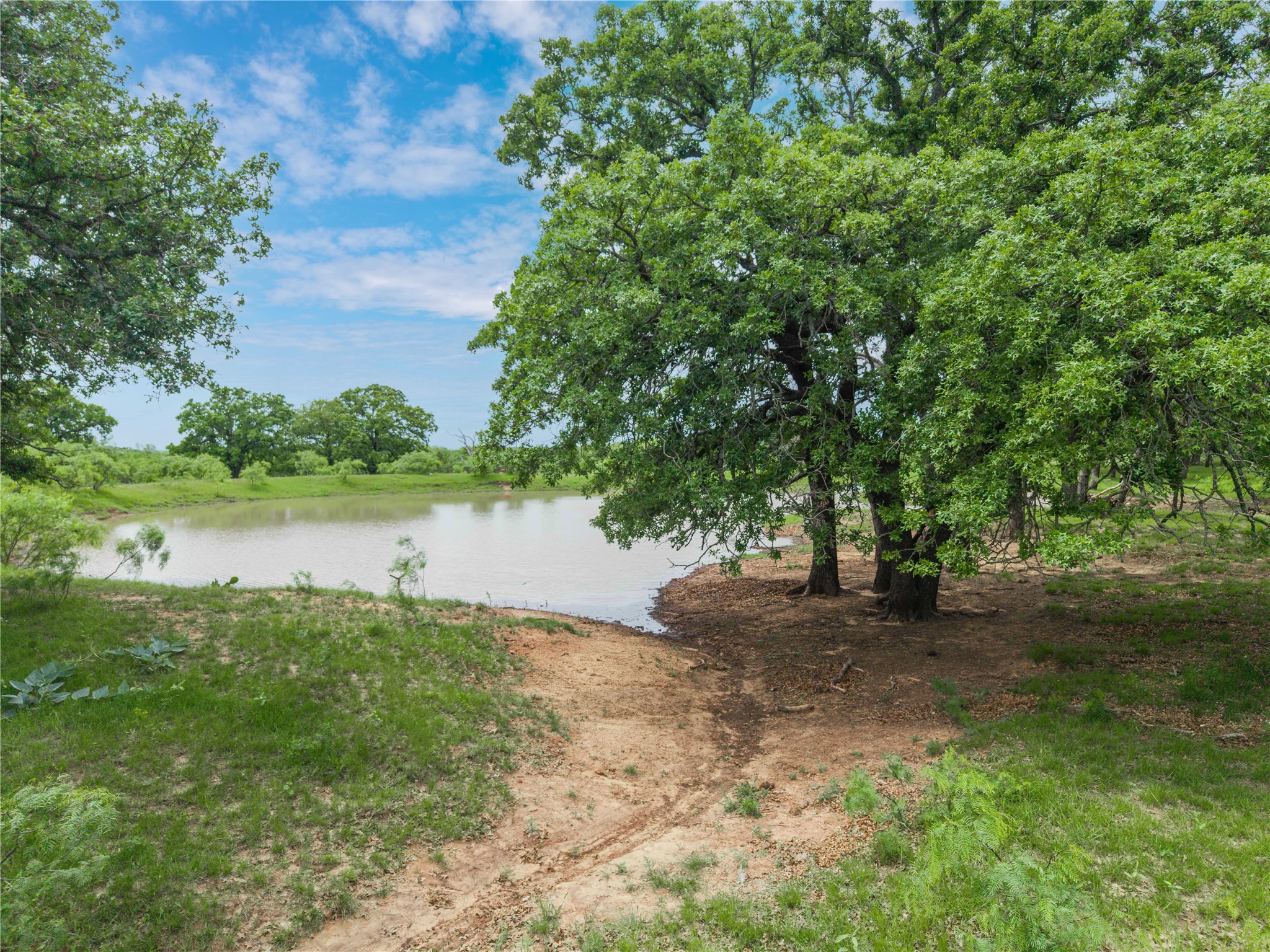 4300 County Road 372 Early TX 76802