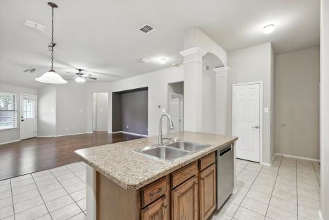 1017 Lake Hollow Drive Little Elm TX 75068