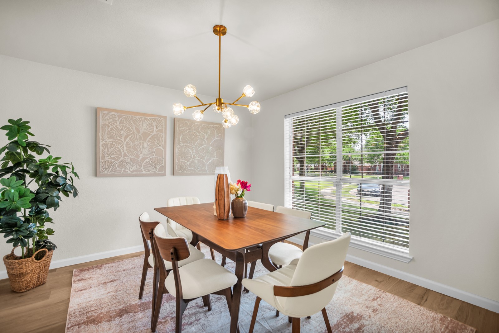 1705 Leander Court Allen TX 75002