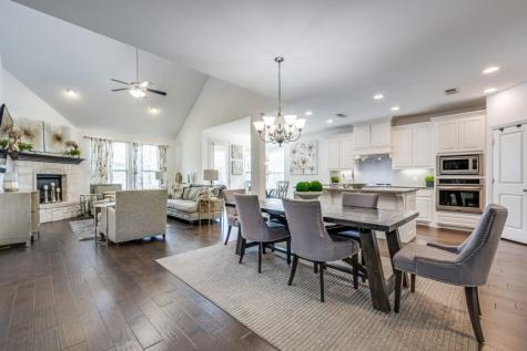 863 Forest Street Little Elm TX 76227