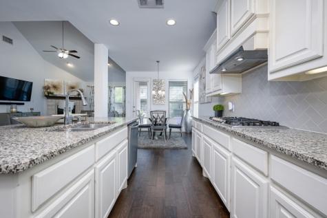 863 Forest Street Little Elm TX 76227