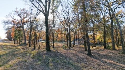 126 Lakeview Trail Mabank TX 75147