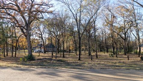 126 Lakeview Trail Mabank TX 75147