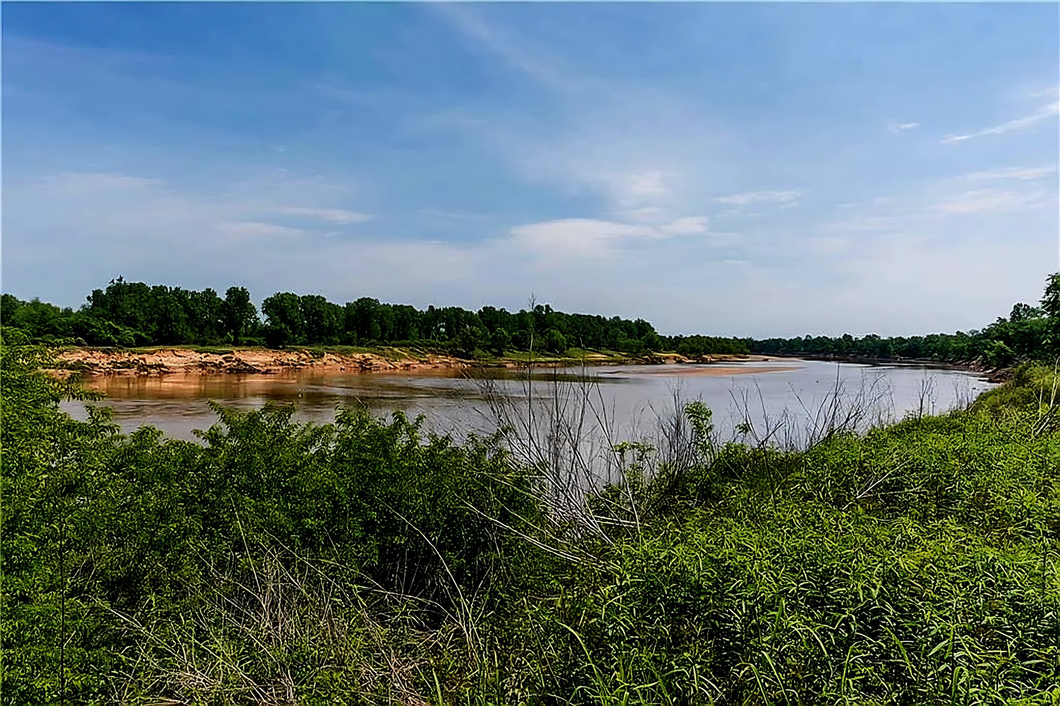 520 County Road 36980 Arthur City TX 75411