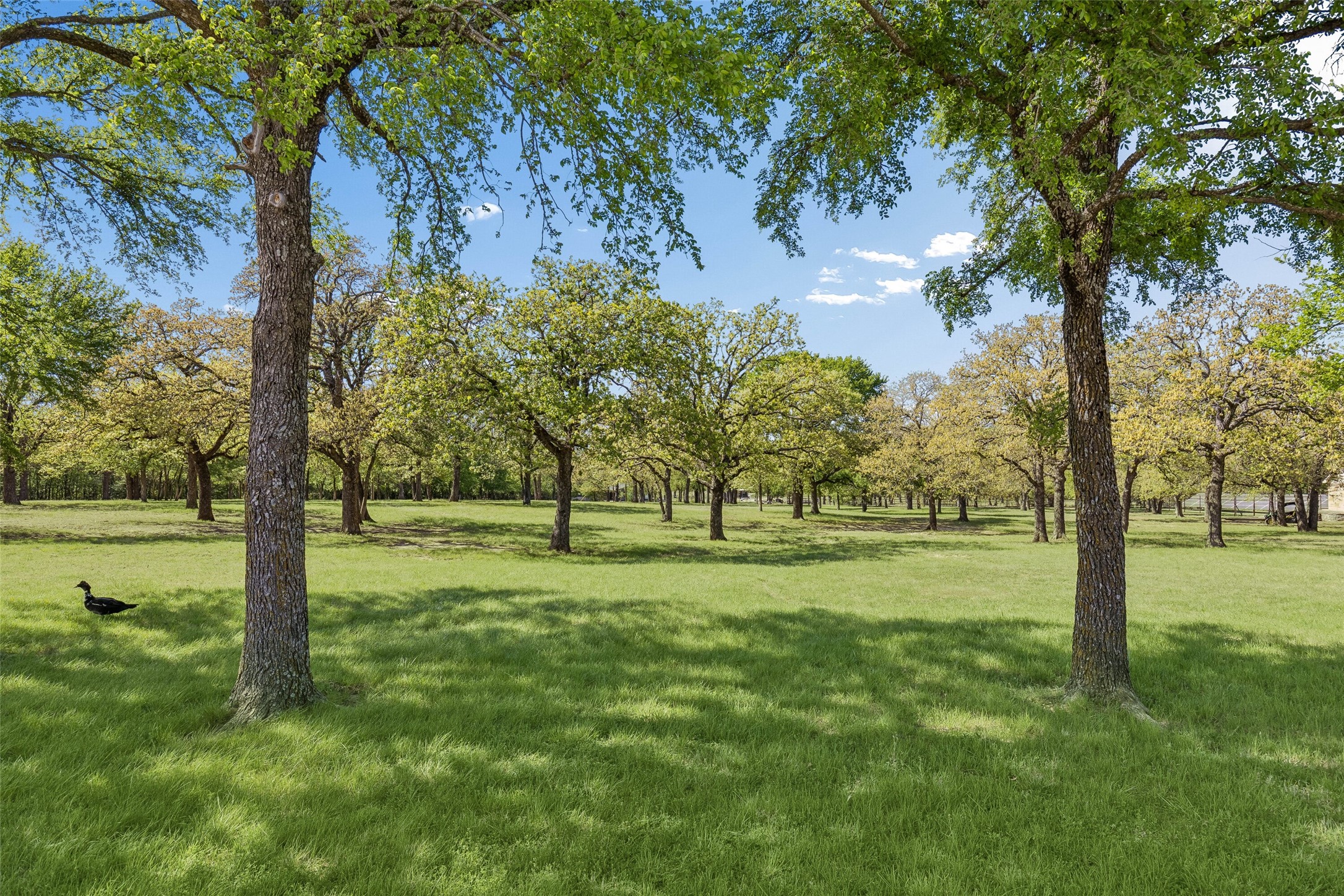 700 Temple Hall Highway Granbury TX 76049