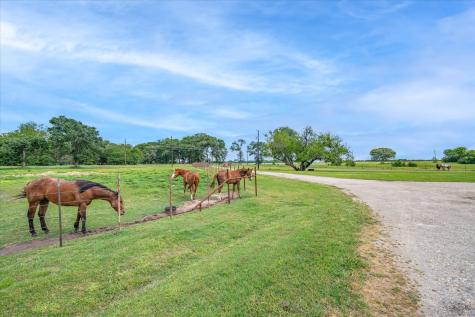 1305 Vz County Road 3821 Wills Point TX 75169