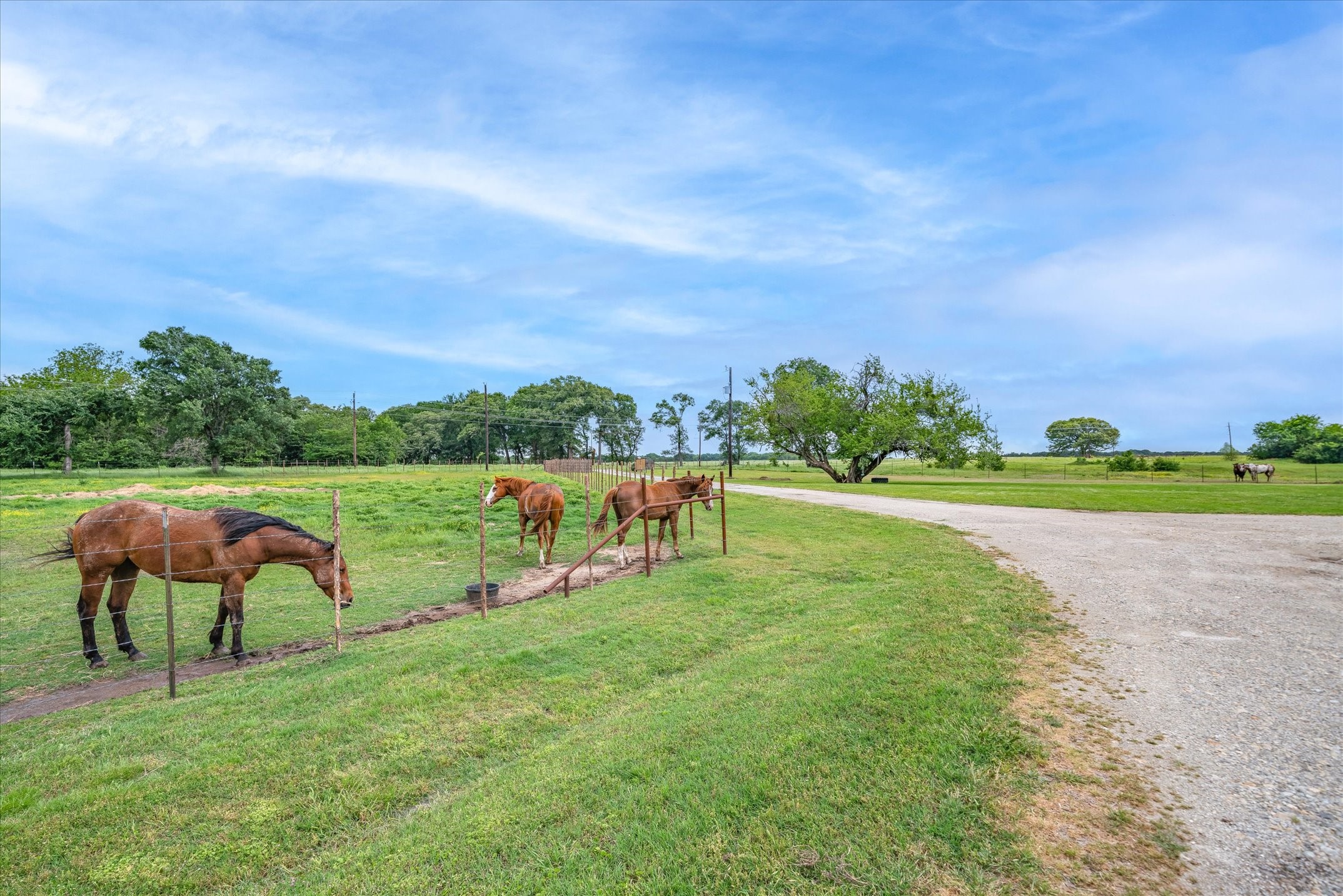 1305 Vz County Road 3821 Wills Point TX 75169
