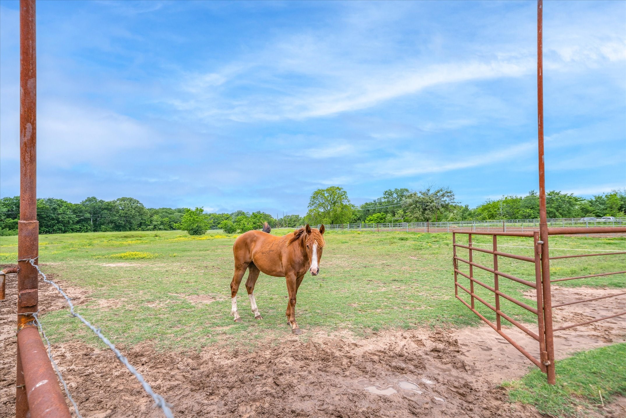 1305 Vz County Road 3821 Wills Point TX 75169