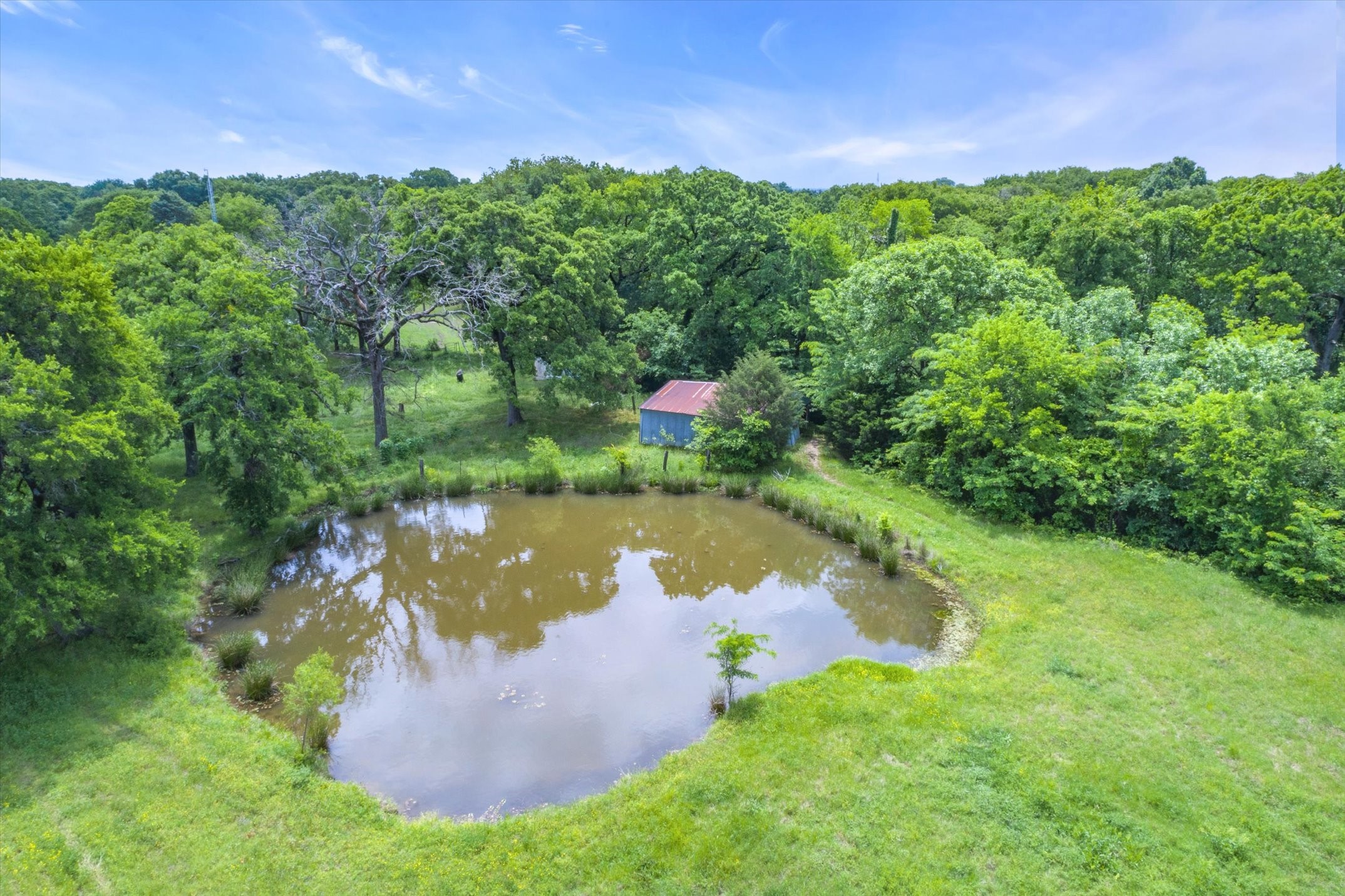 1305 Vz County Road 3821 Wills Point TX 75169