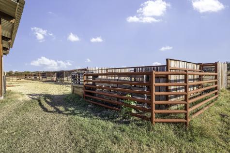 1250 County Road 242 Dublin TX 76446