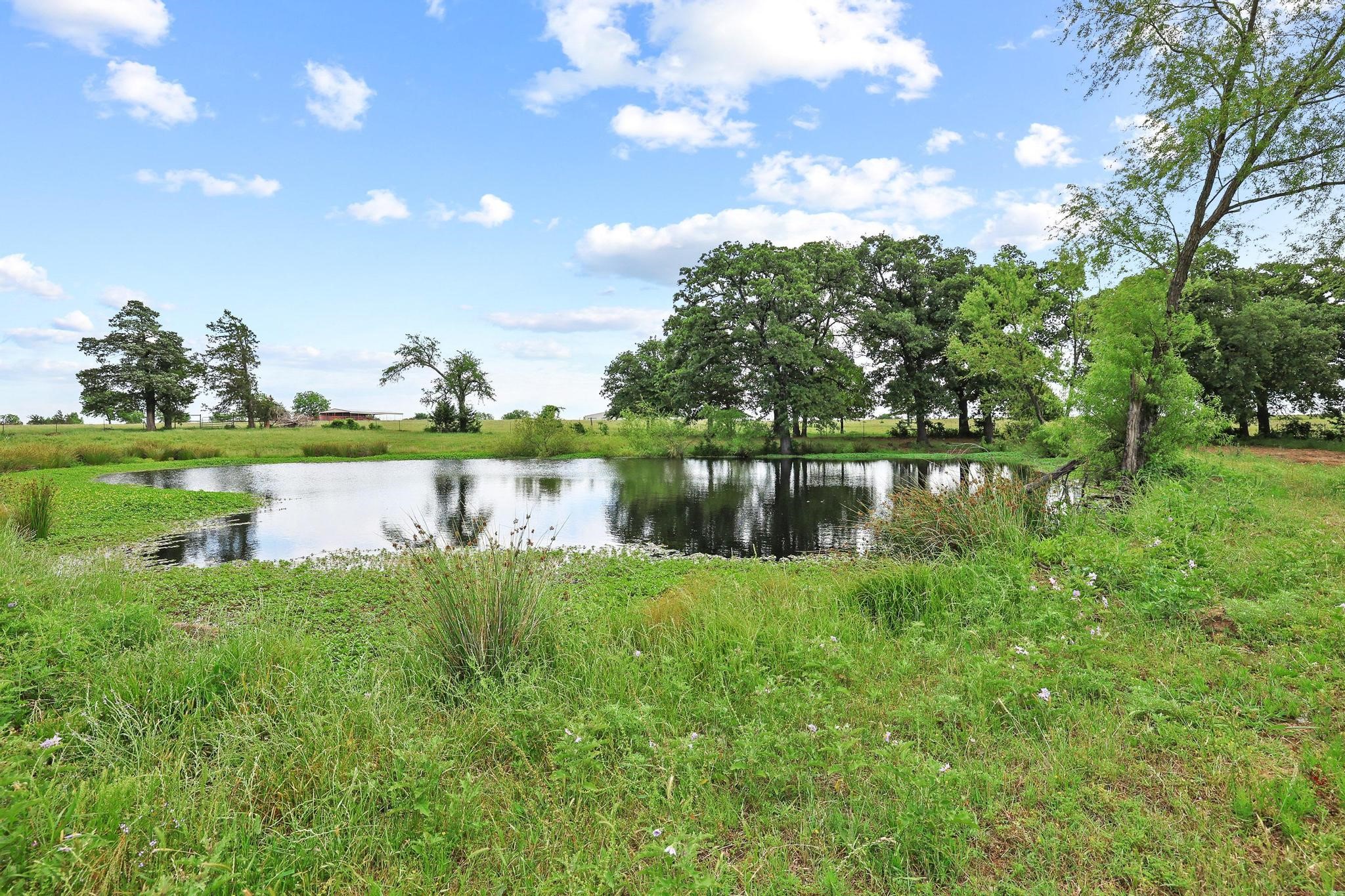 25172 Us Highway 377 Whitesboro TX 76273