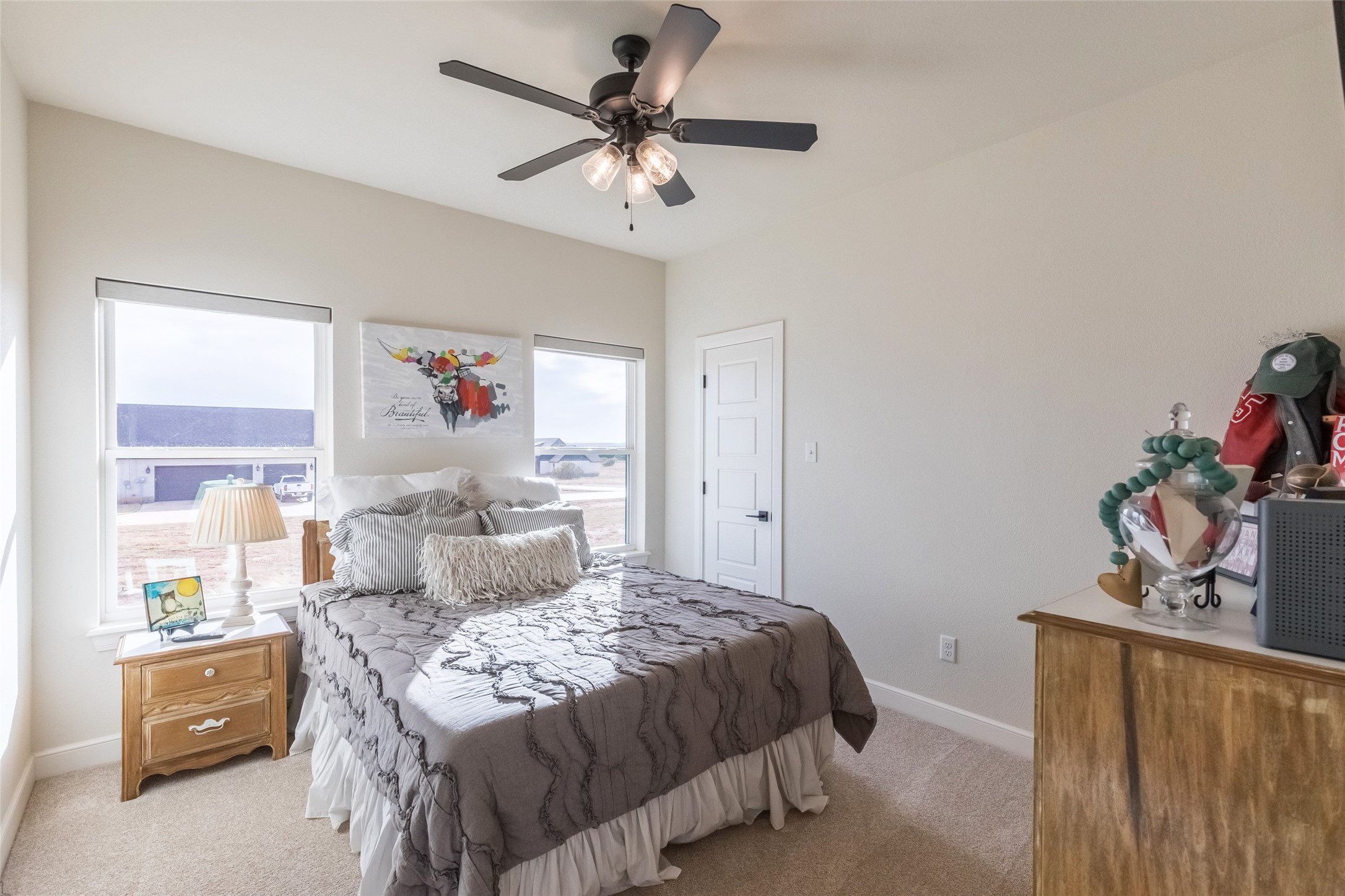 169 Pine Springs Cove Tuscola TX 79562