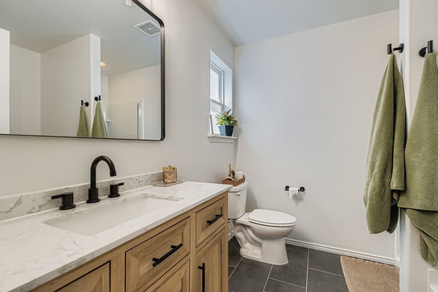 1713 Abby Creek Drive Little Elm TX 75068