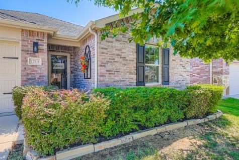 1713 Abby Creek Drive Little Elm TX 75068
