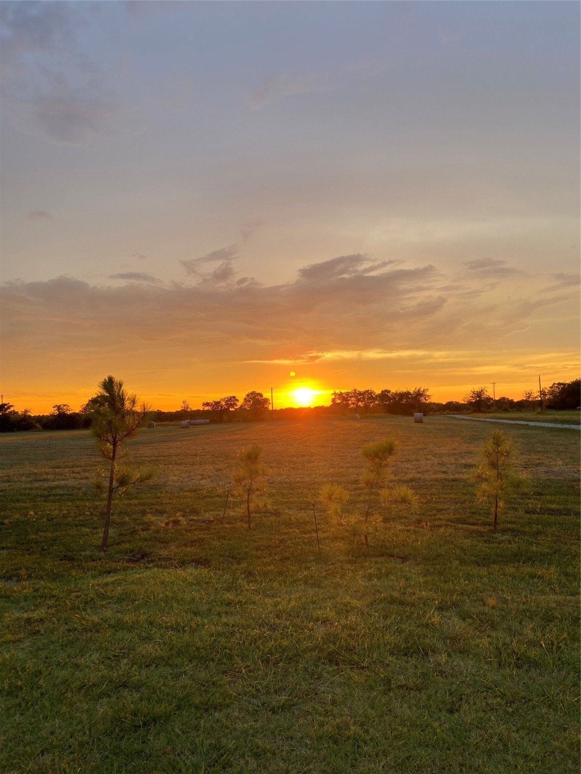 1498 County Road 24800 Brookston TX 75421