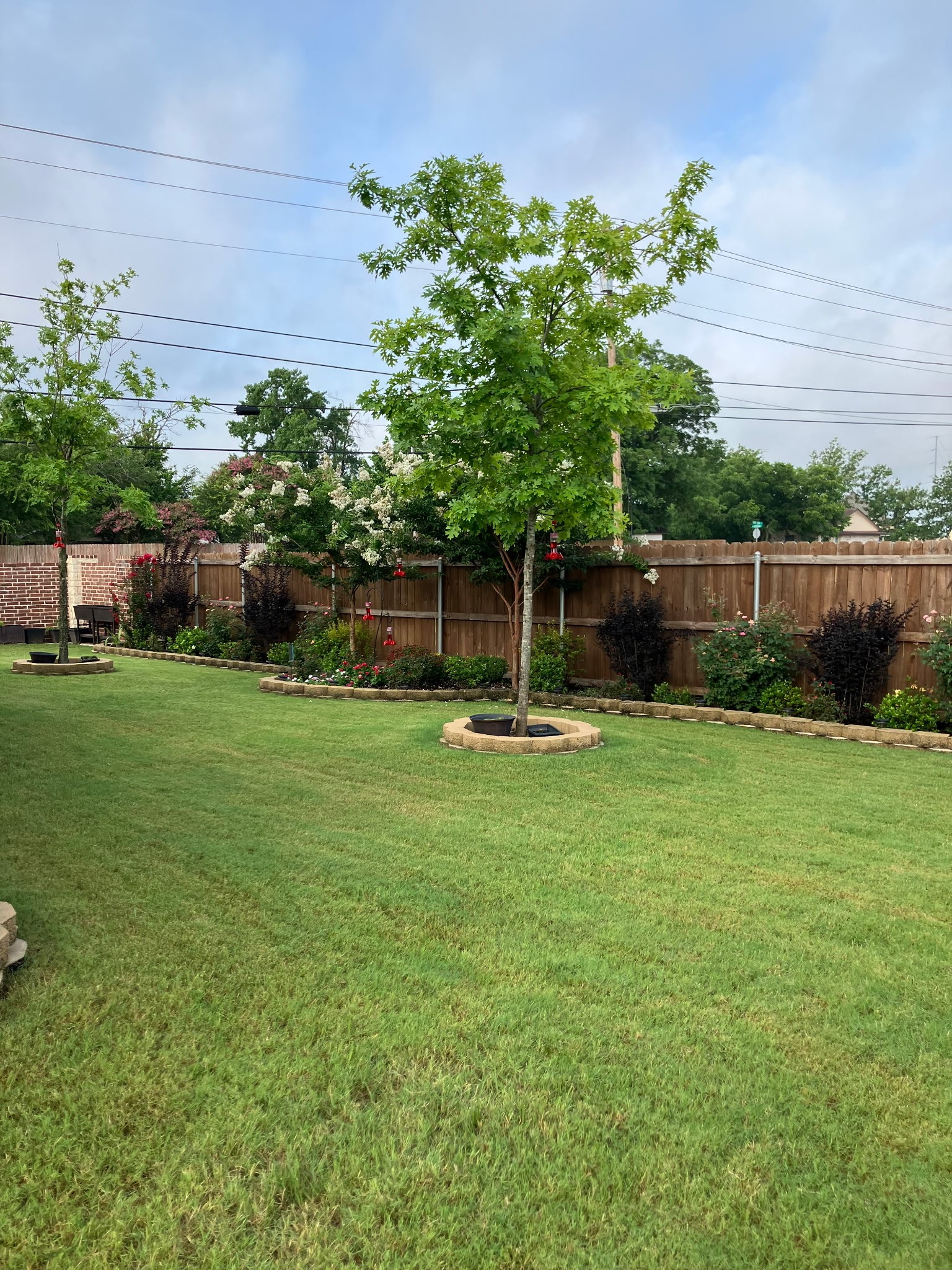 510 Ellis Place Drive Greenville TX 75402