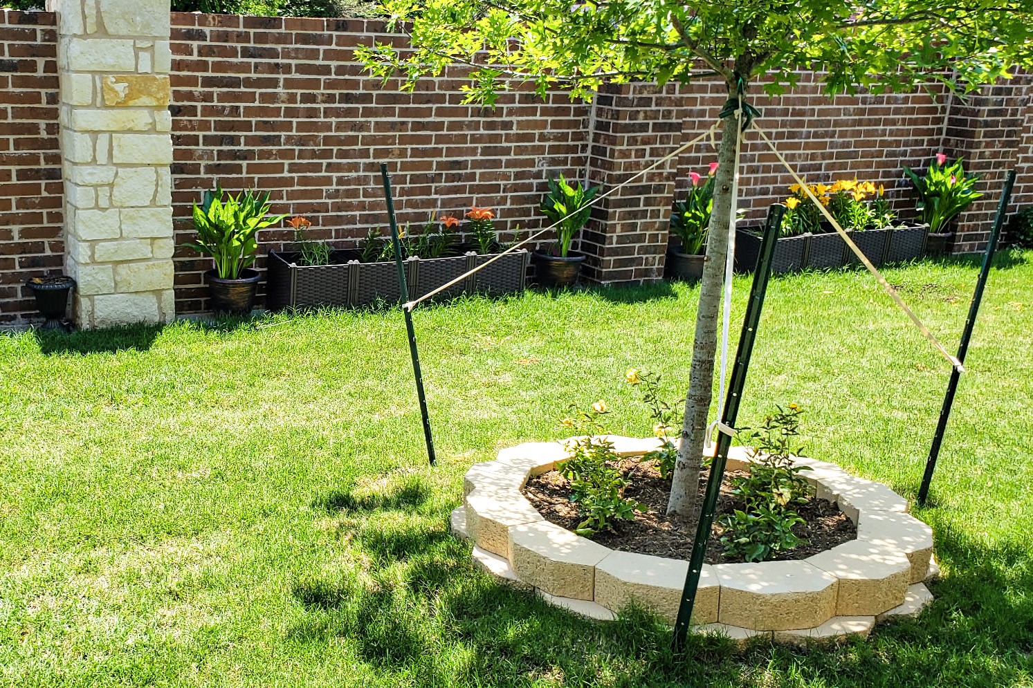 510 Ellis Place Drive Greenville TX 75402
