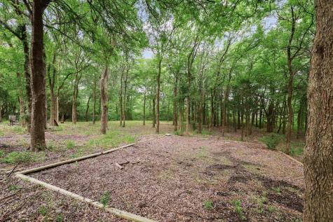 107 Falls Creek Lane Gunter TX 75058