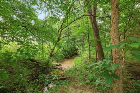 107 Falls Creek Lane Gunter TX 75058