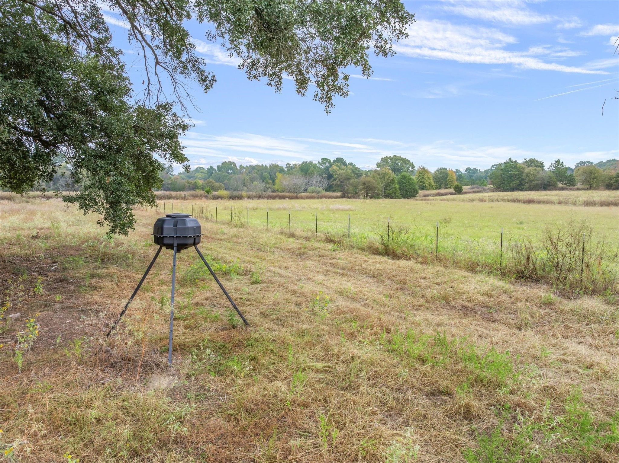 25046 Fm 857 Grand Saline TX 75140