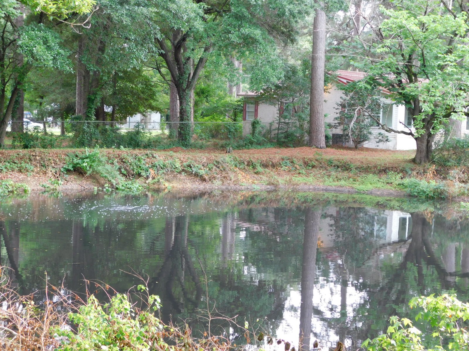 24044 Highway 157 Highway Springhill LA 71075