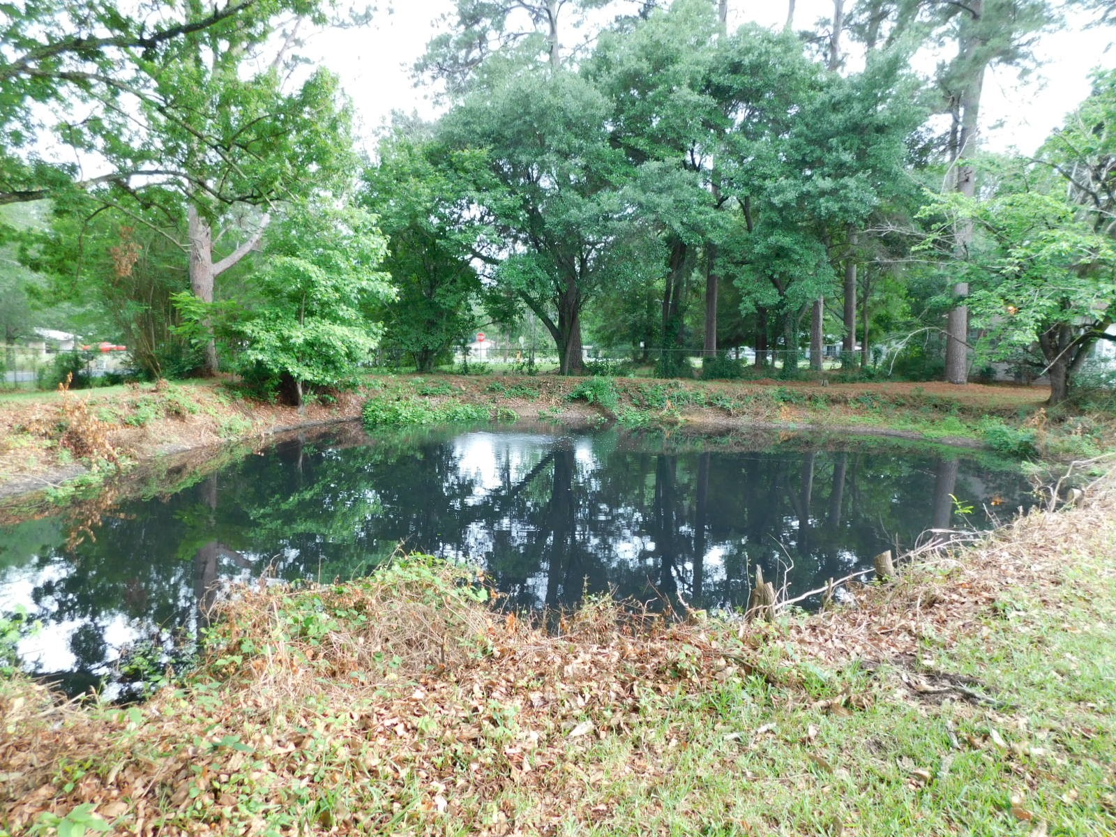24044 Highway 157 Highway Springhill LA 71075