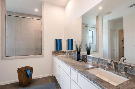 713 Mountain Aloe Drive Fort Worth TX 76247