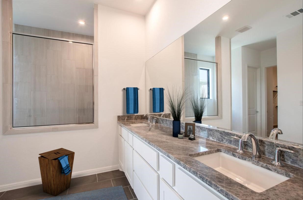 713 Mountain Aloe Drive Fort Worth TX 76247