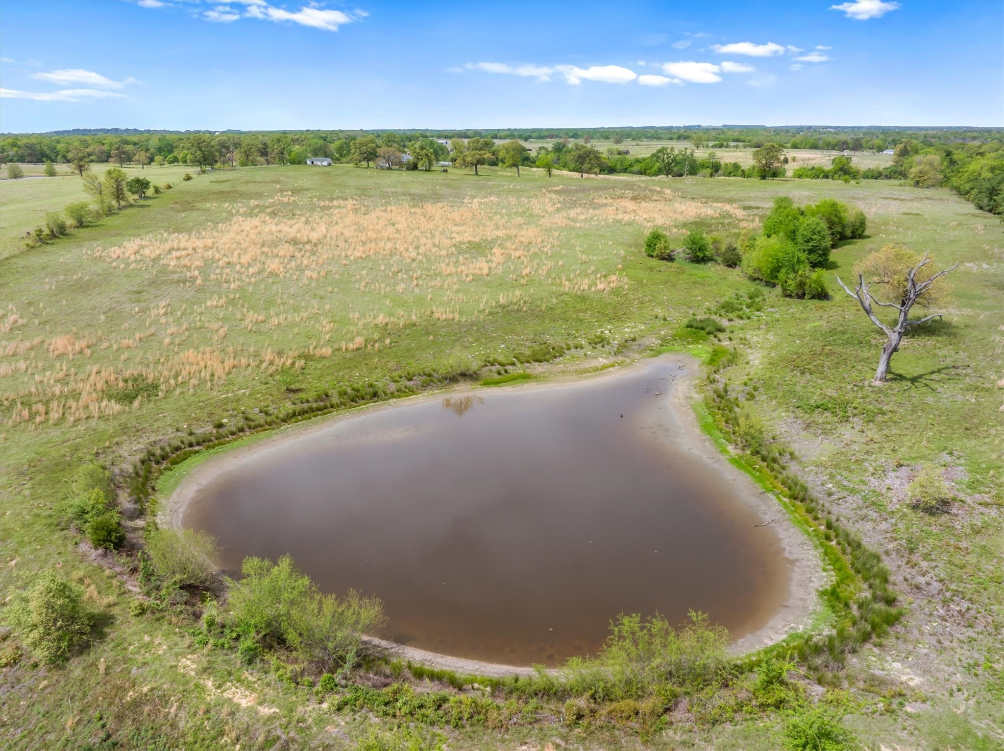 1421 Vz County Road 2319 Canton TX 75103