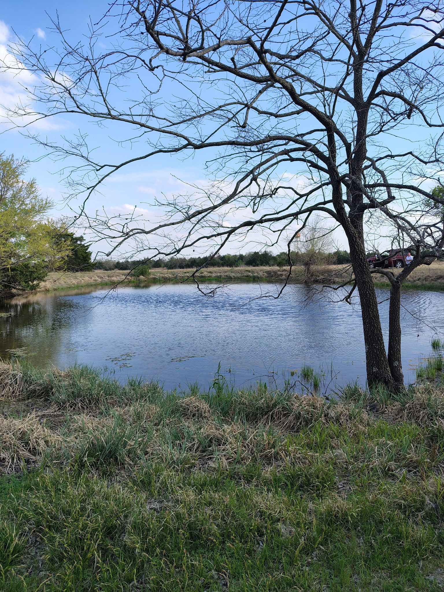 4491 County Road 4511 Commerce TX 75428