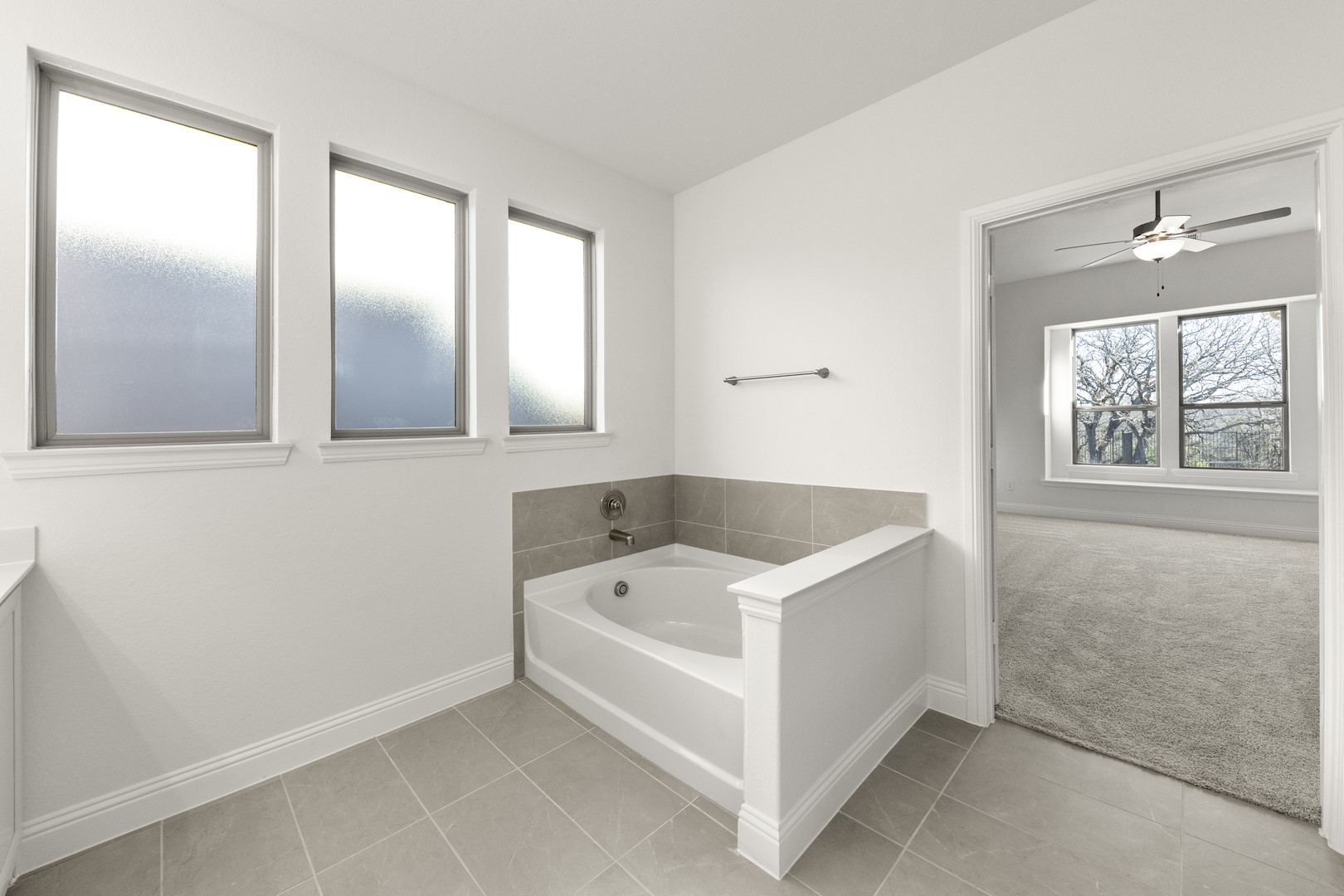 4401 Glenn Springs Way Little Elm TX 75068