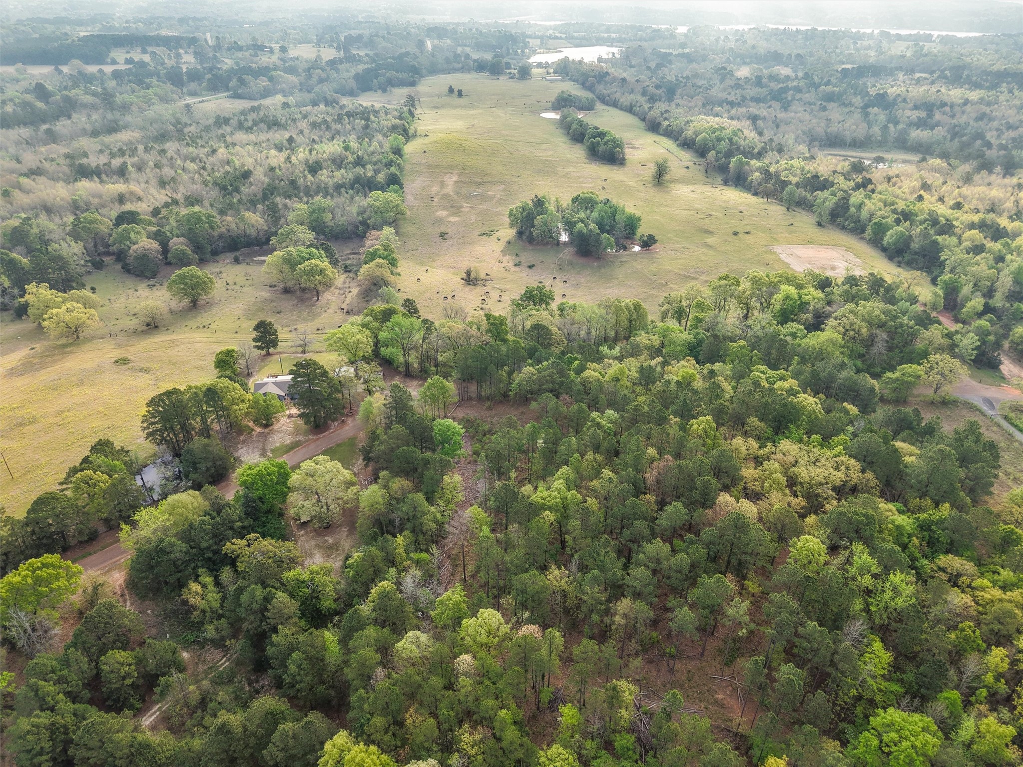 571 County Road Daingerfield TX 75638