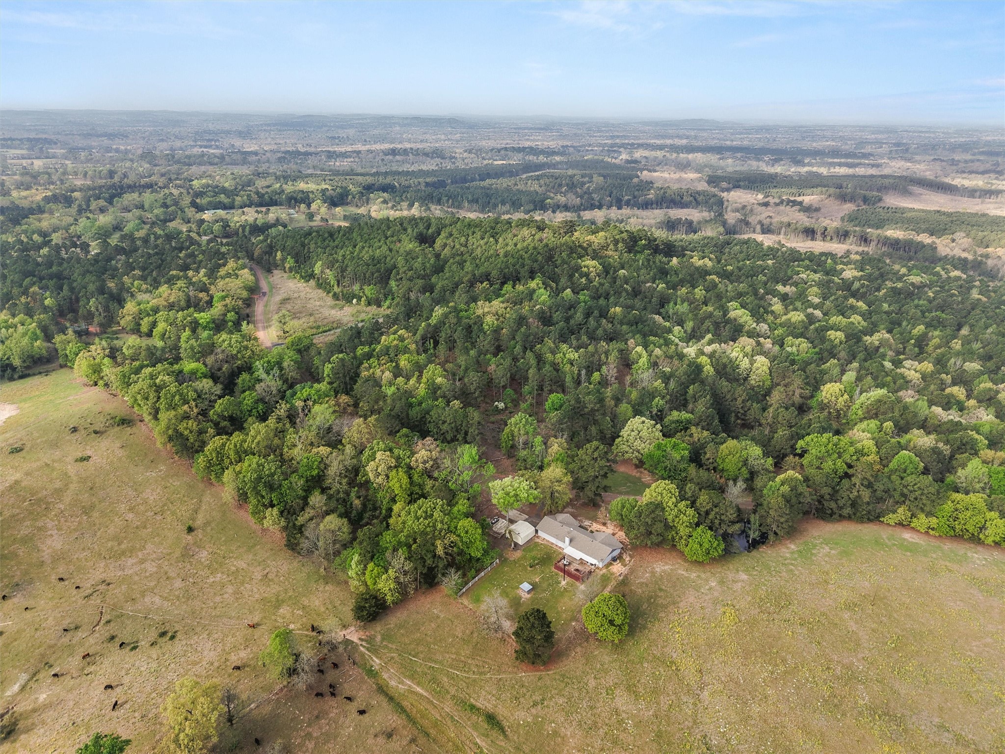 571 County Road Daingerfield TX 75638