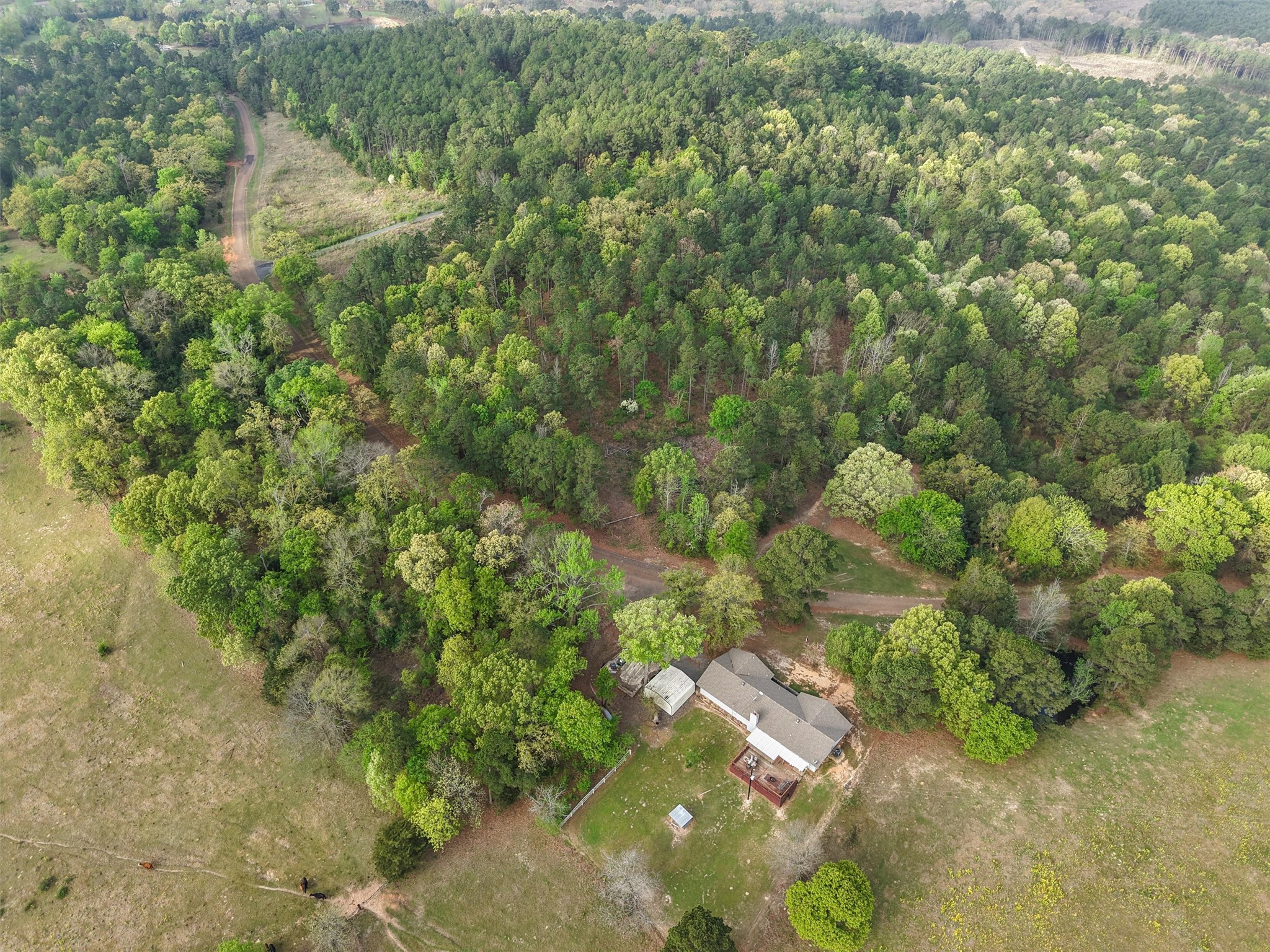 571 County Road Daingerfield TX 75638