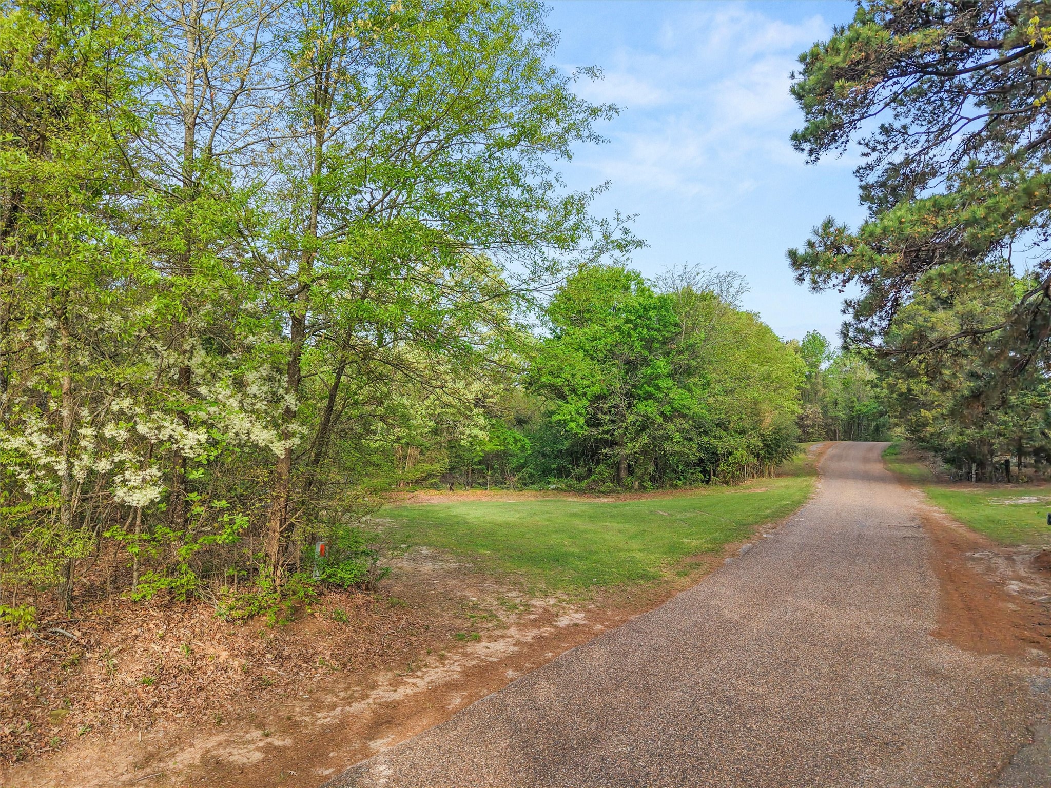 571 County Road Daingerfield TX 75638