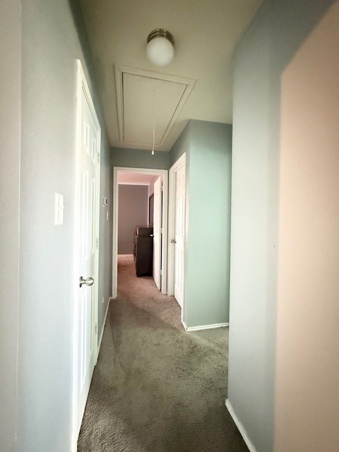 3000 Black Orchid Drive Killeen TX 76549
