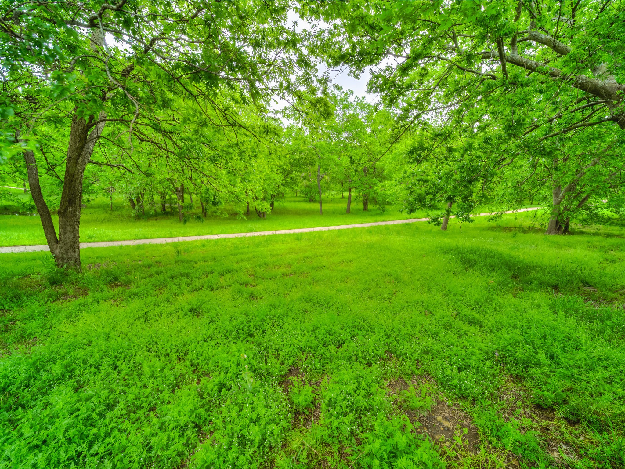 1408 Cobblestone Court Savannah TX 76227
