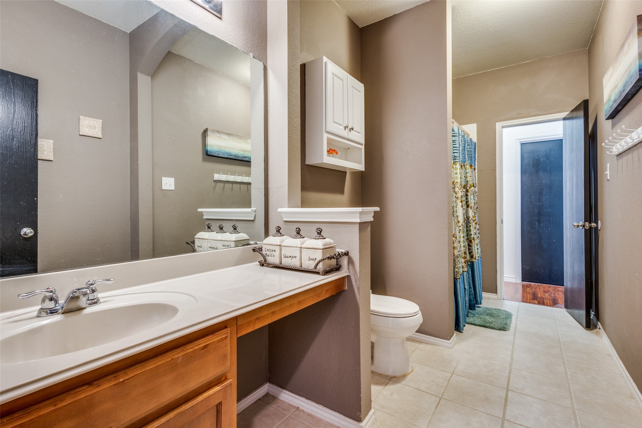 1617 Black Maple Drive Anna TX 75409