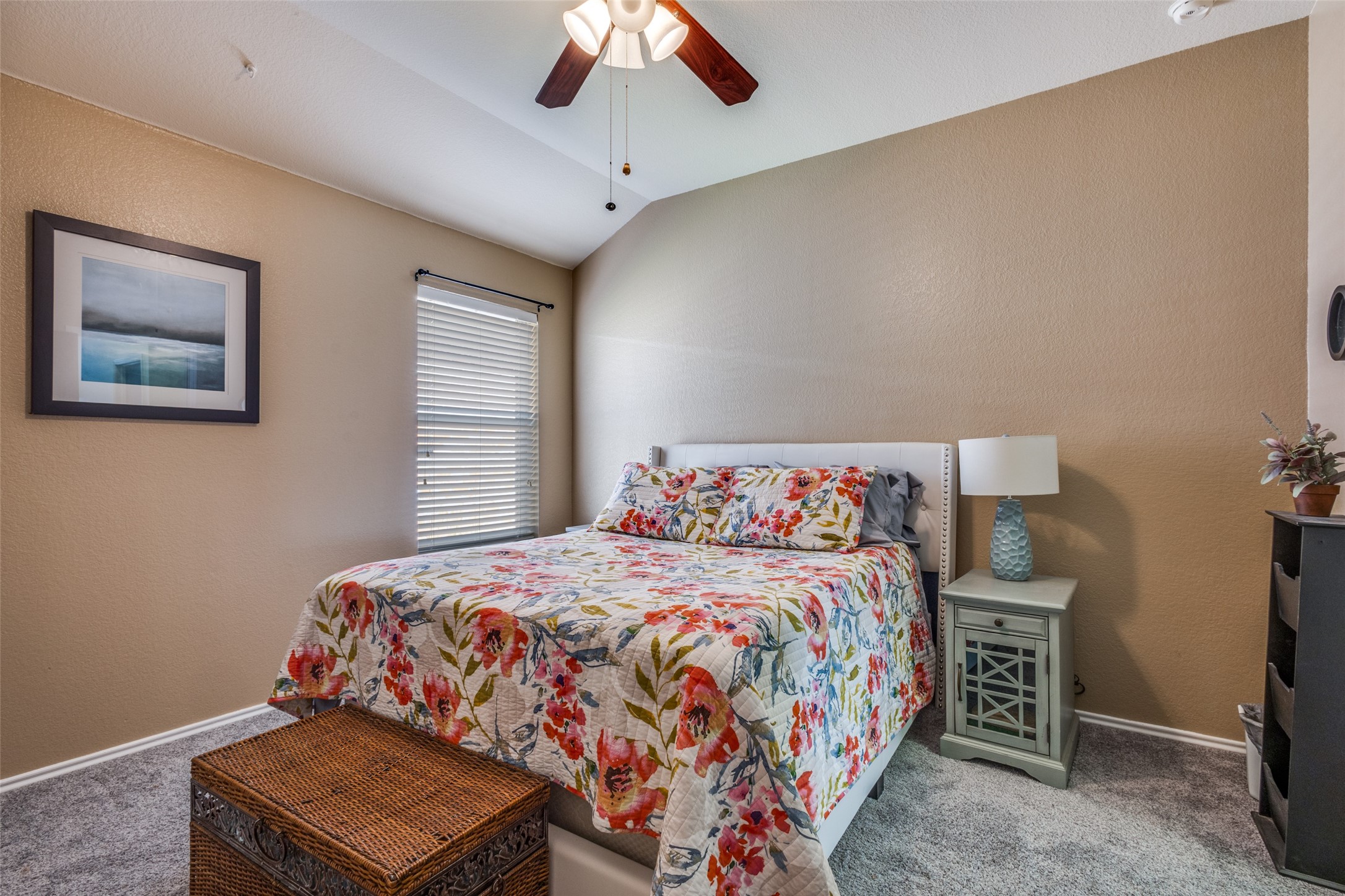 1617 Black Maple Drive Anna TX 75409