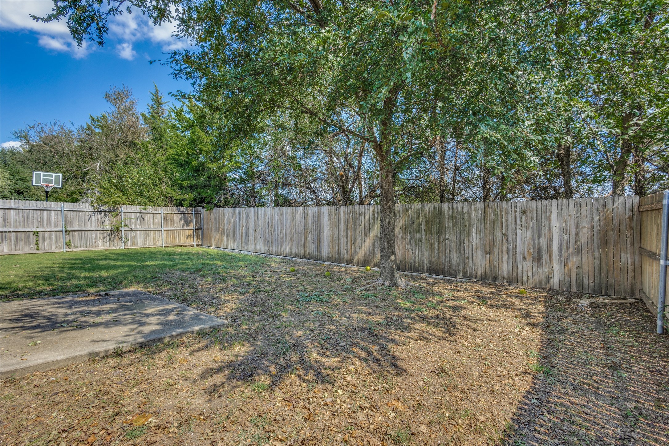 1617 Black Maple Drive Anna TX 75409